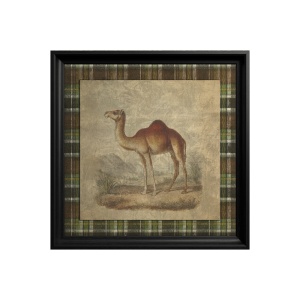 Tablou Dromedary Camel - Img 3