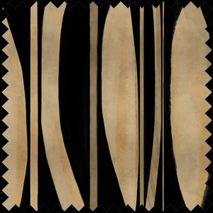 Tissu ID