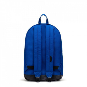 Herschel-rucsac-pop-quiz-surf-the-web-22L-4