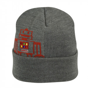 Kangol, Caciula gri robot