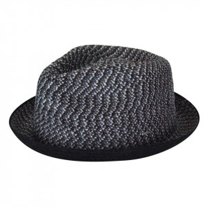 Bailey of Hollywood, Palarie cain fedora negru