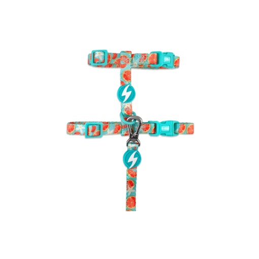 Dashi Eco Caribe Set Pisica Ham+Lesa