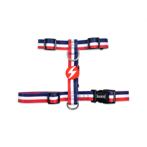 Dashi Ham Stripes3 Red & Blue Prindere Spate XS