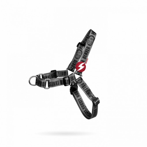 Dashi Melted Front Harness S