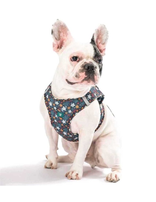 L-NPE433 Farm Company Ham Soft Mesh Stars L 48-54cm