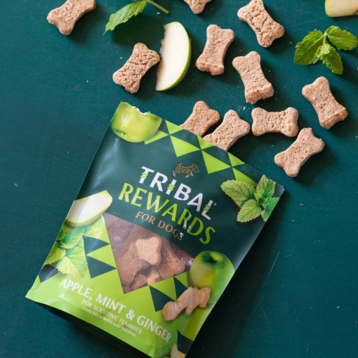 Recompense Tribal Rewards Apple, Mint & Ginger 125g