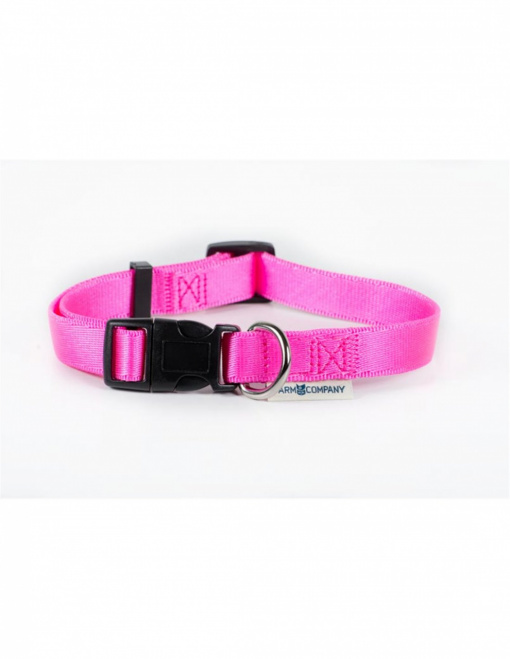 Zgarda Nylon Roz 1.5X25-40 cm