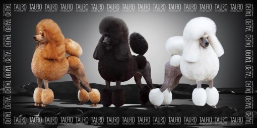 TPLRAN70318 Tauro Prosop Microfibre 80*160cm - Poodle