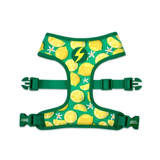 Dashi Eco Rio Ham Neo Mesh L