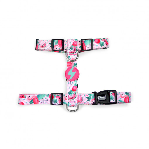 Dashi Ham Flamingo Prindere Spate L