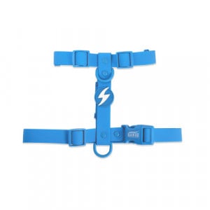 Dashi Ham Prindere Spate Color Flex Blue L