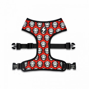 Dashi Mask Neo Mesh XS - Img 1