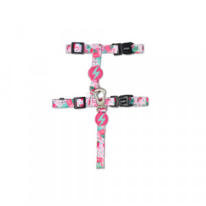 Dashi Set Pisica Ham / Lesa Flamingo