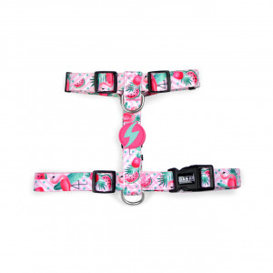 Dashi Ham Flamingo Prindere Spate XS