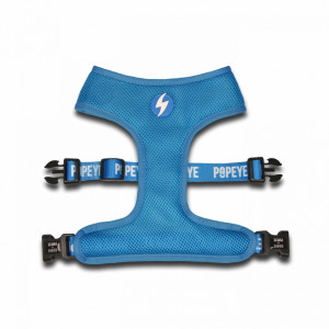 Dashi Popeye Neo Mesh XS - Img 2