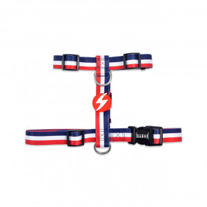 Dashi Ham Stripes3 Red & Blue Prindere Spate XS