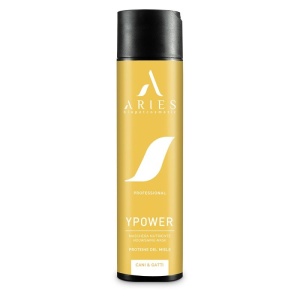 Aries Masca Ypower cu Proteine din Miere 250ml