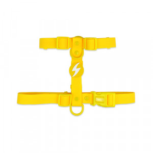 Dashi Ham Prindere Spate Color Flex Yellow M