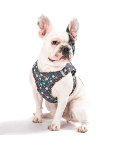 L-NPE433 Farm Company Ham Soft Mesh Stars L 48-54cm