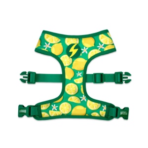 Dashi Eco Rio Ham Neo Mesh XS