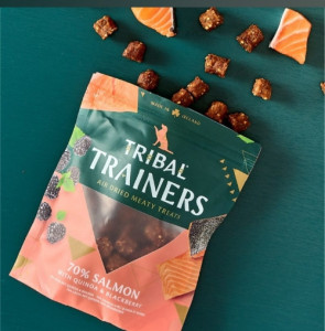 Tribal Trainers Salmon & Blackberry 80g