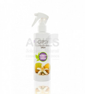 Aries Gipsy Polishing Spray 250ml