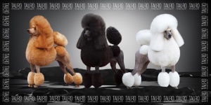 TPLRAN70318 Tauro Prosop Microfibre 80*160cm - Poodle - Img 1