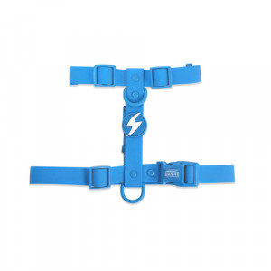 Dashi Ham Prindere Spate Color Flex Blue M