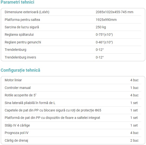 p13 19