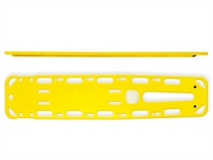 Placa vertebrala