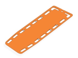 Placa vertebrala