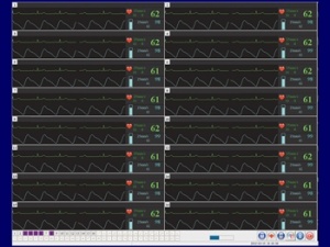 Software statie centrala