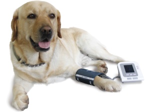 Tensiometru electronic veterinar - Img 4