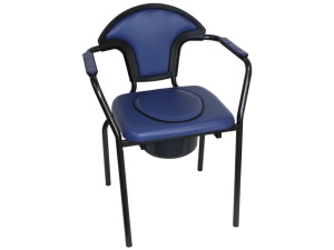 Scaun toaleta fix