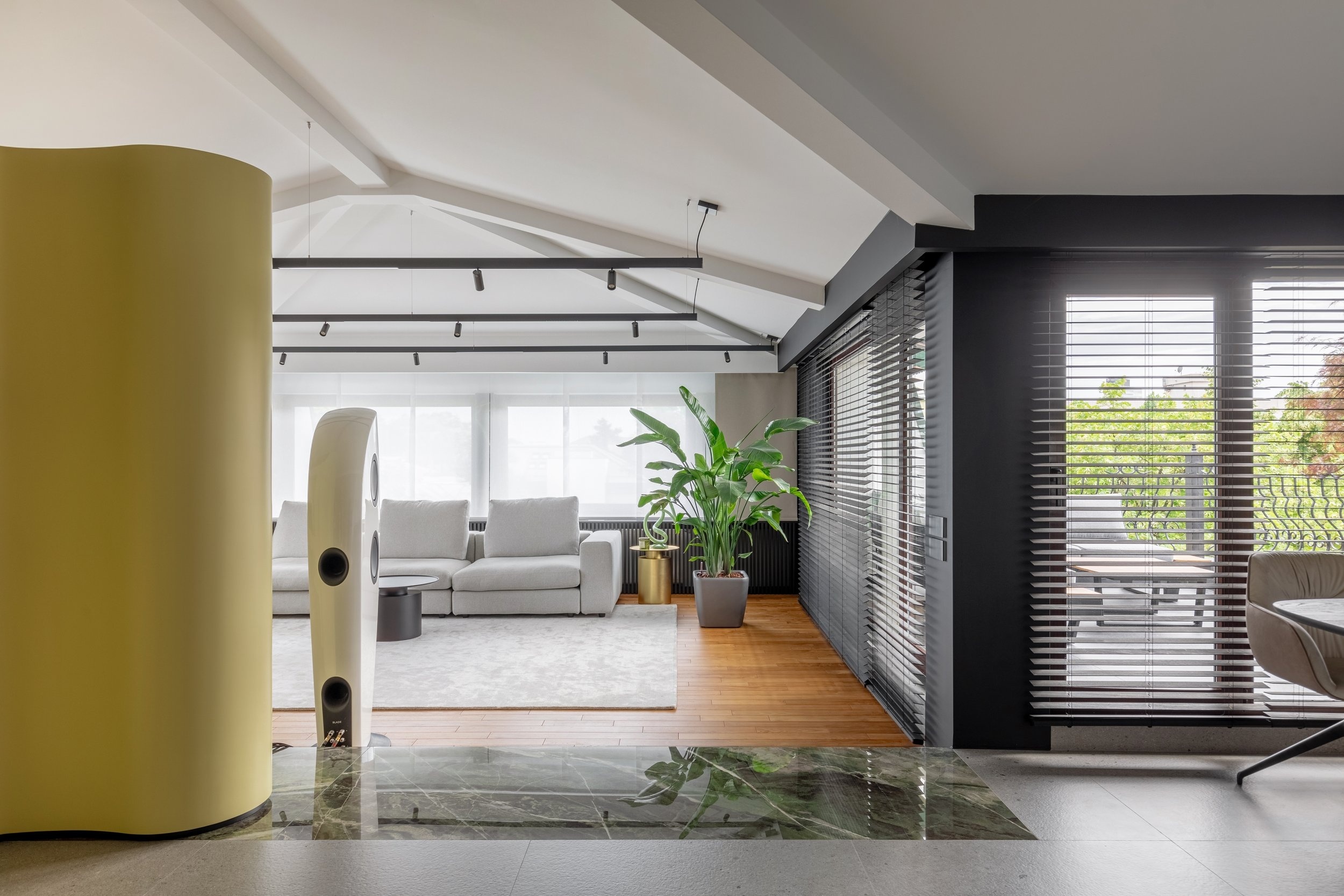 Zona livingului cu Strelitzia Nicolai