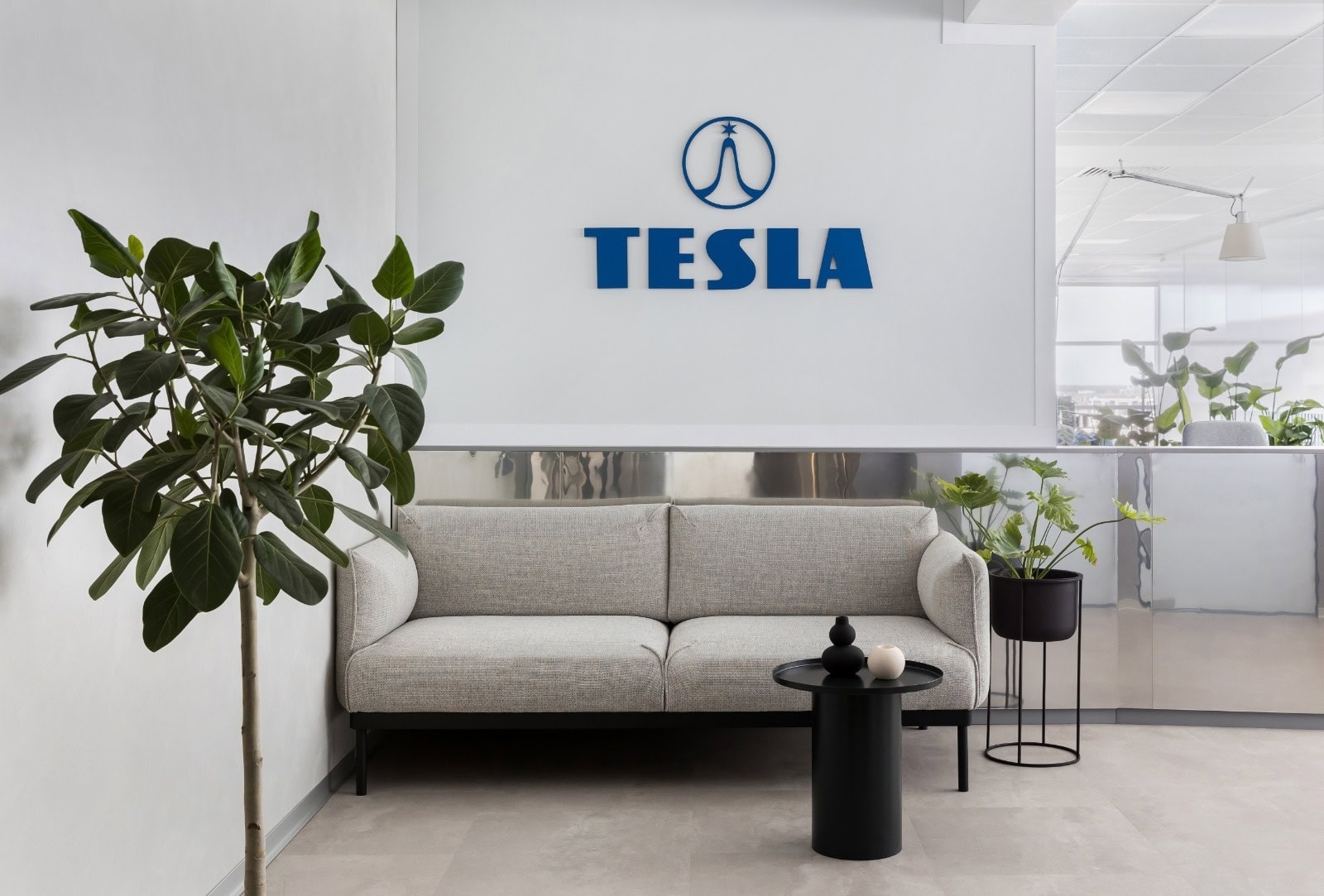 Recepția Tesla cu Ficus Audrey, Strelitzia Nicolai și Anthurium clarinervium