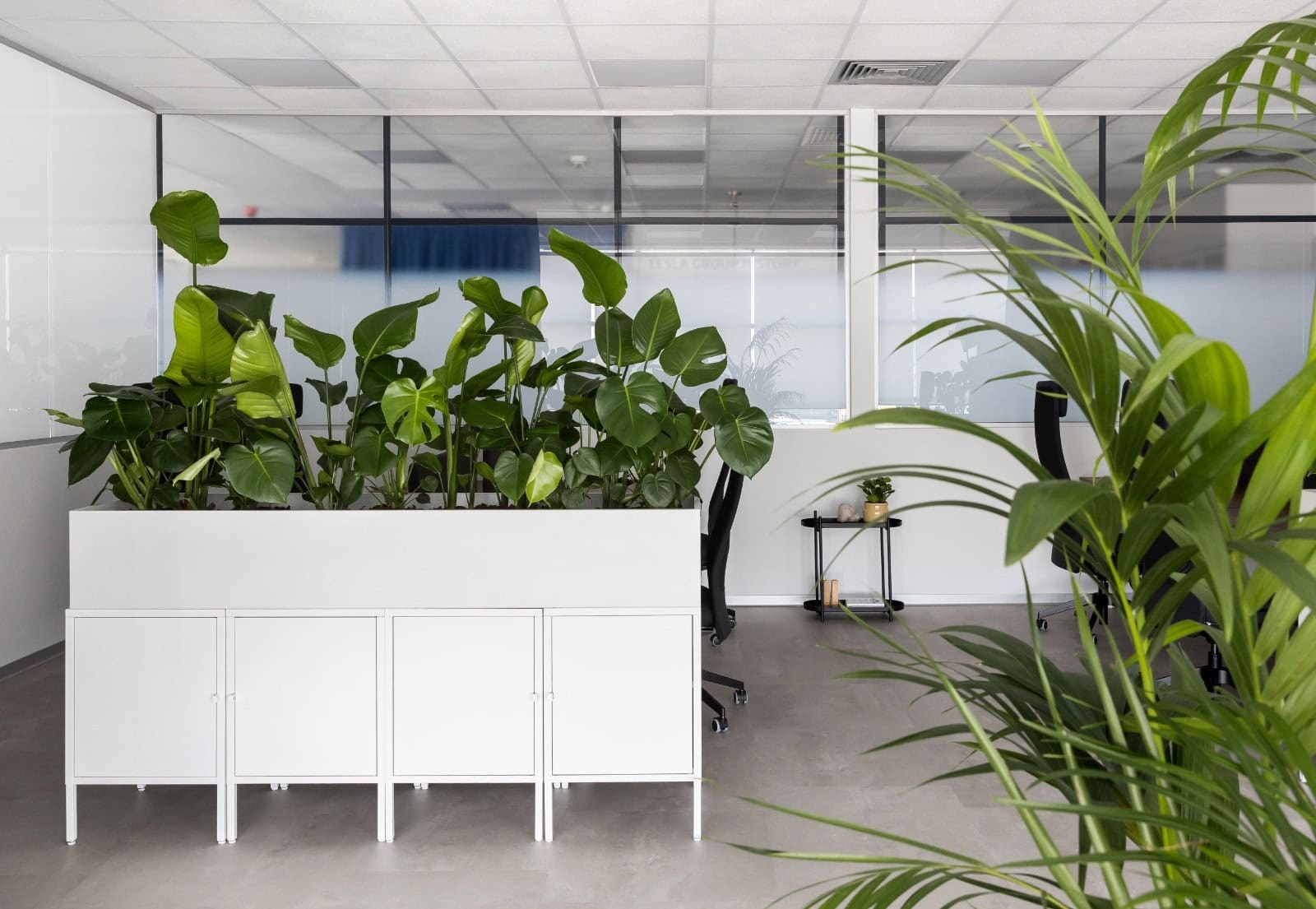 Zone de lucru Tesla cu plante ușor de întreținut