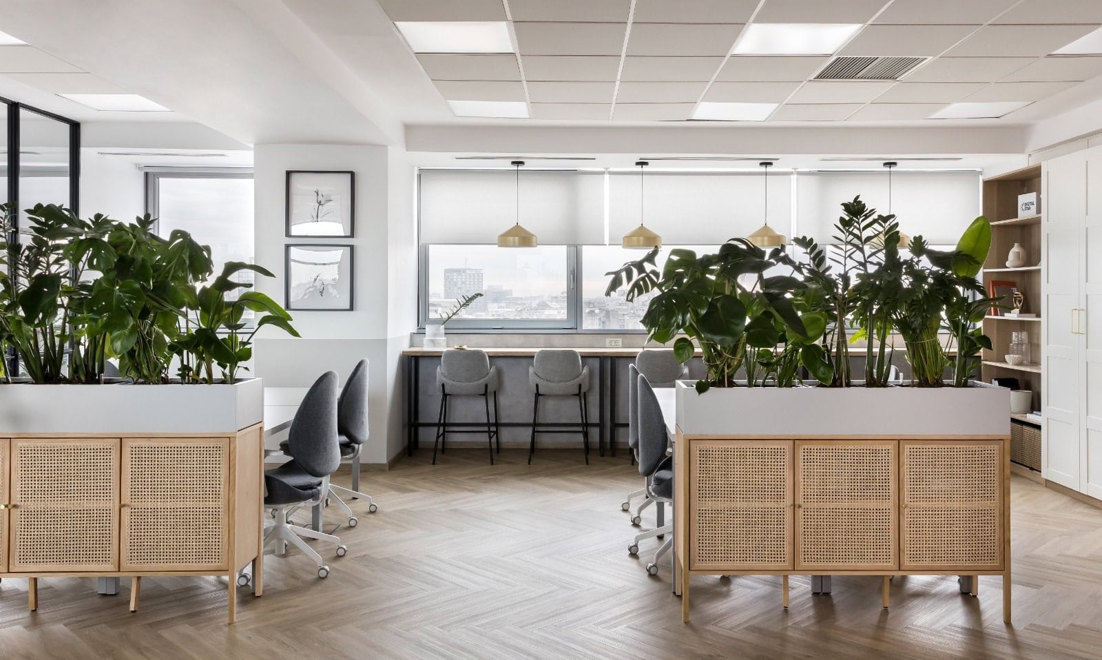 Timpuri Noi Loft