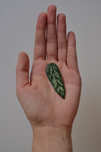 Broșă Aglaonema T.
