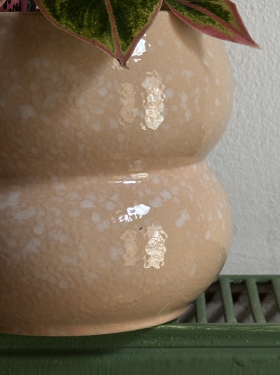 Ghiveci Yume - Peach - Img 4