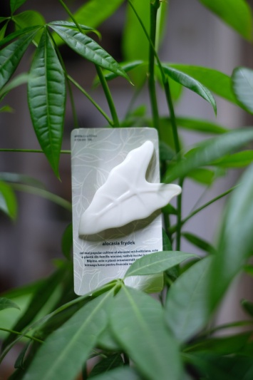 Broșă Alocasia Frydek