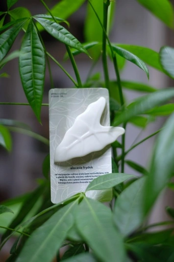 Broșă Alocasia Frydek