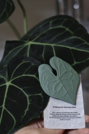 Broșă Anthurium Clarinervium - Img 4