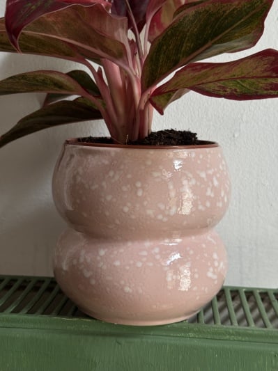 Ghiveci Yume - Pink - Img 1