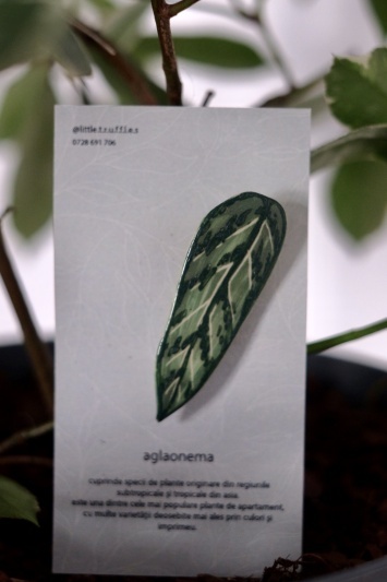 Broșă Aglaonema T. - Img 2