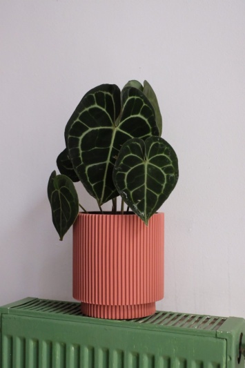 Ghiveci Capi Cylinder Pink - Img 1