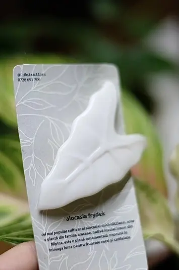 Broșă Alocasia Frydek - Img 2