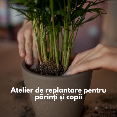 Workshop rePlantare - Părinți și copii - Img 2