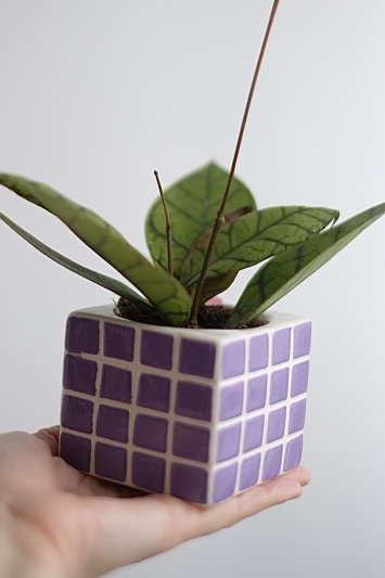 Ghiveci Mauve