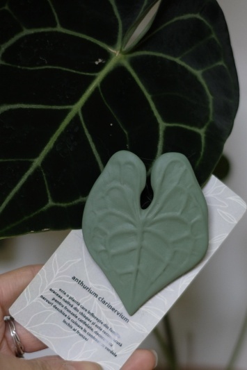 Broșă Anthurium Clarinervium - Img 2